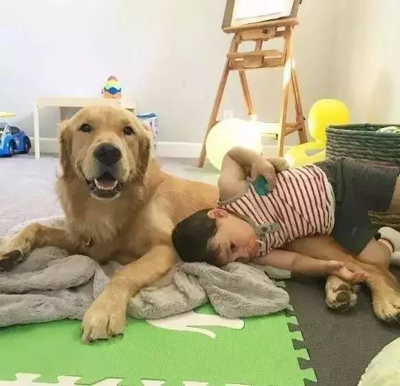 又软又舒服的可爱抱枕,让你幸福感爆棚的可爱抱枕