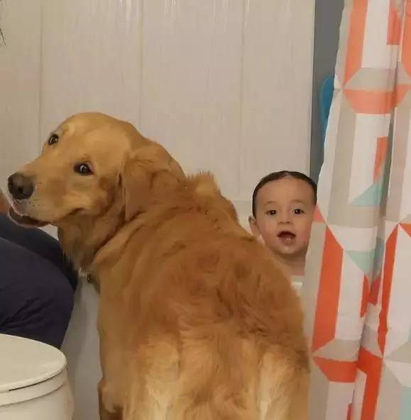 又软又舒服的可爱抱枕,让你幸福感爆棚的可爱抱枕