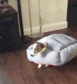 辽宁明天气温降落温馨提示,辽宁将降温至零下25度