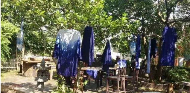 手工植物扎染,植物扎染制作过程