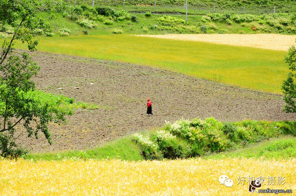 稻城亚丁游玩攻略需要准备什么,稻城亚丁攻略关注事项