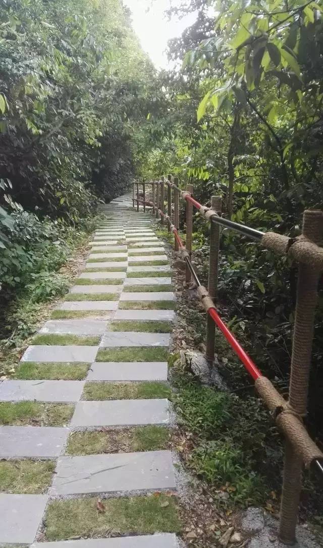 南宁市内空气好的地方,南宁周边郊外哪里好玩