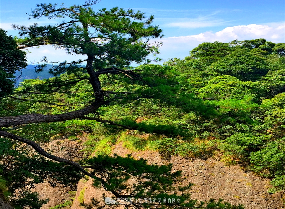 神仙居的风景真的很美,神仙居山水美如画