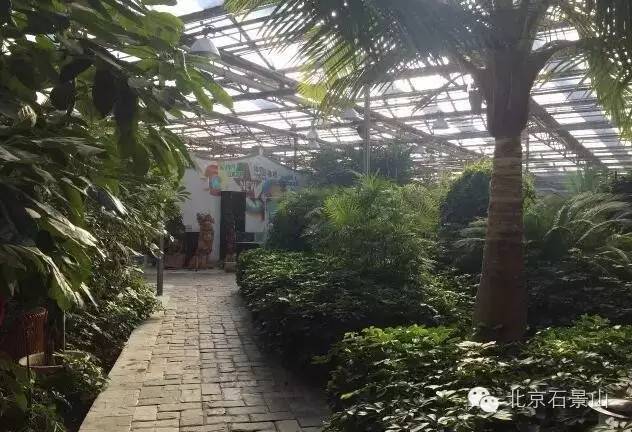 神农庄园为什么拆除,2021神农庄园过年关门吗