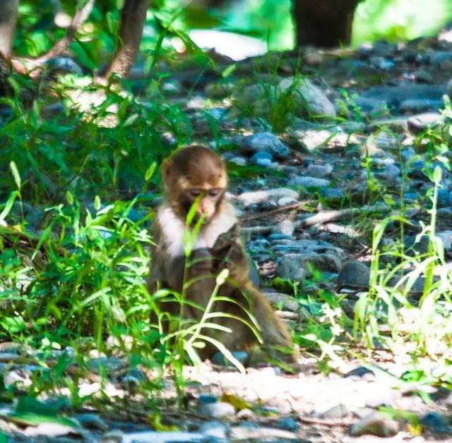 京津冀旅游年卡票,京津冀旅游年卡房山