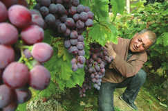 小狗前爪弯曲走路一瘸一拐,小狗前双腿残疾被救助者治好