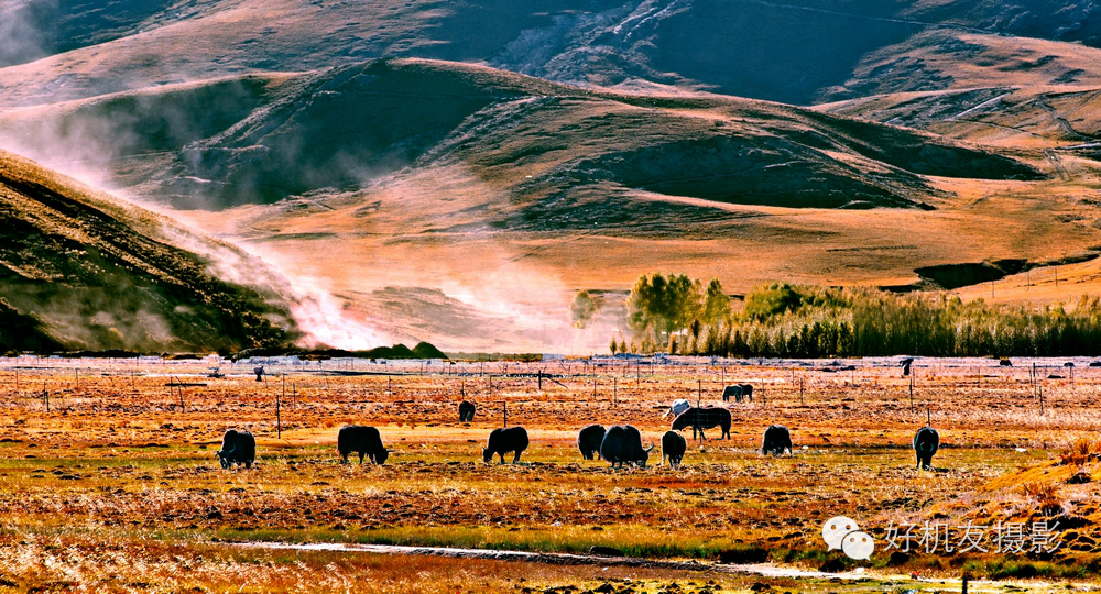 稻城亚丁游玩攻略需要准备什么,稻城亚丁攻略关注事项