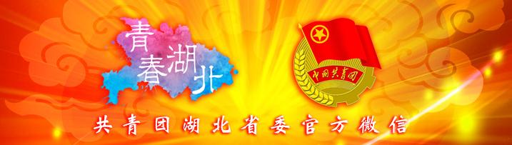 湖北大学生创业扶持项目有哪些,湖北大学生创业扶持项目申请条件