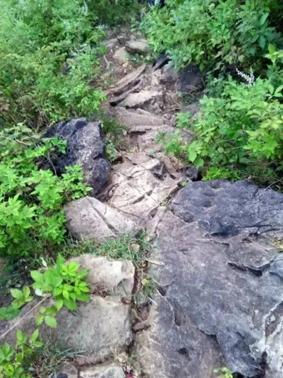 南宁市内空气好的地方,南宁周边郊外哪里好玩