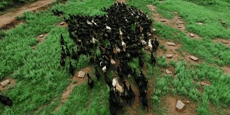 南宁市内空气好的地方,南宁周边郊外哪里好玩