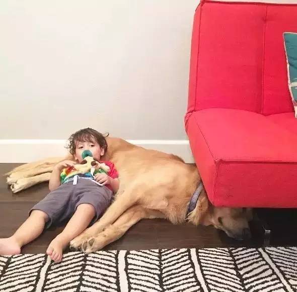 又软又舒服的可爱抱枕,让你幸福感爆棚的可爱抱枕