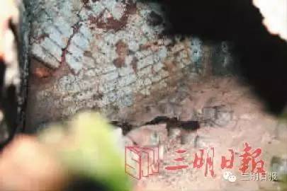 47岁的他出生三明农家，早年辍学，如今却办了个人博物馆