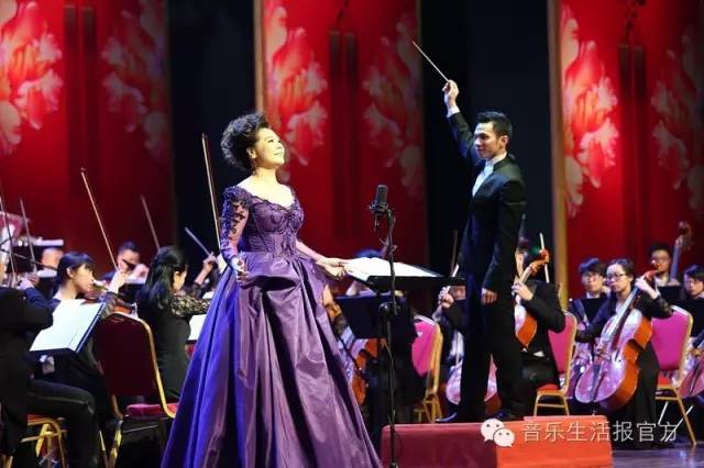 东方夜莺北部湾,东方夜莺