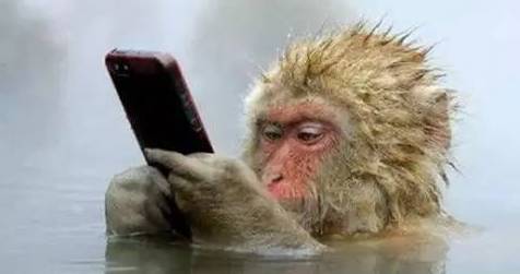 戴手套能滑手机屏幕吗,冬天为啥戴手套