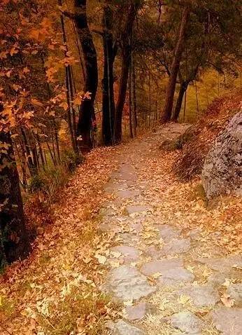 海曙附近的古道,海曙区十大古道