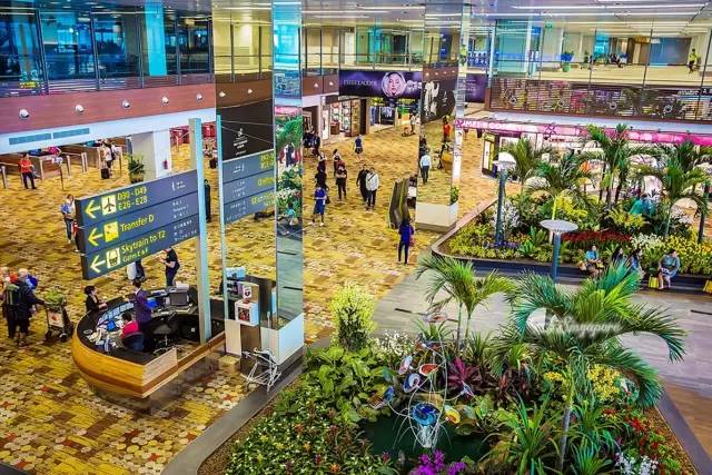 出国旅游十大必买清单,海外免税店必买清单