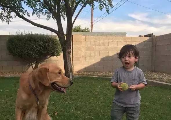 又软又舒服的可爱抱枕,让你幸福感爆棚的可爱抱枕