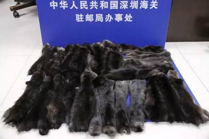 海关为什么不让代购,中国海关代购有风险吗