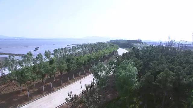 普兰店注册公司一般纳税人,大连市普兰店区人民政府位置