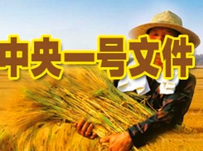 一号文件对生猪政策,2020年中央一号文件关于生猪养殖