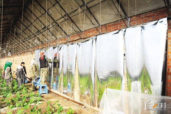 寒潮过后大棚该怎么管,温室大棚遇寒潮