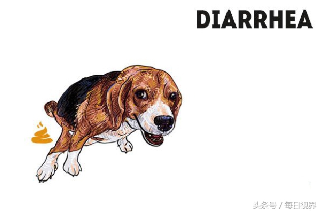 15种狗狗常见病治疗,狗狗生病了有哪些症状