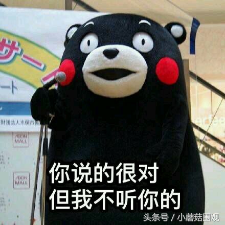 海淘奶粉为何更便宜,哪国奶粉最好