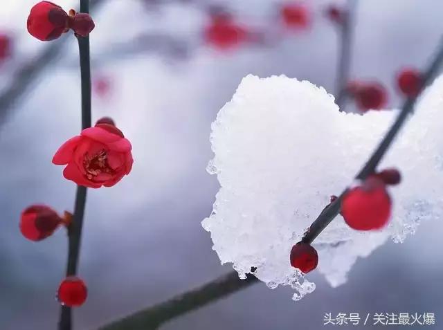 改善红血丝皮肤的良方,去红血丝的偏方秘方大全