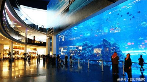 讲述迪拜的那些事与经历,了解迪拜不为人知的一面