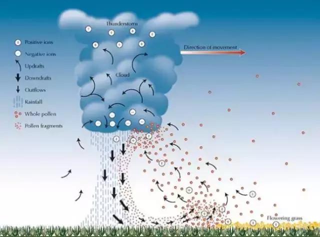澳洲新一轮雷暴哮喘来袭！任何人都可能发作！内附缓解措施
