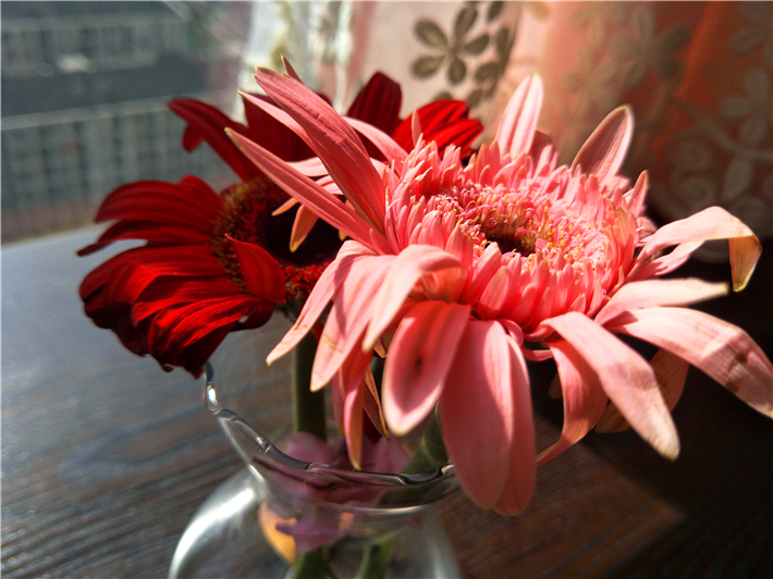 oppor9s的缺点和不够,oppor9s缺点和不够