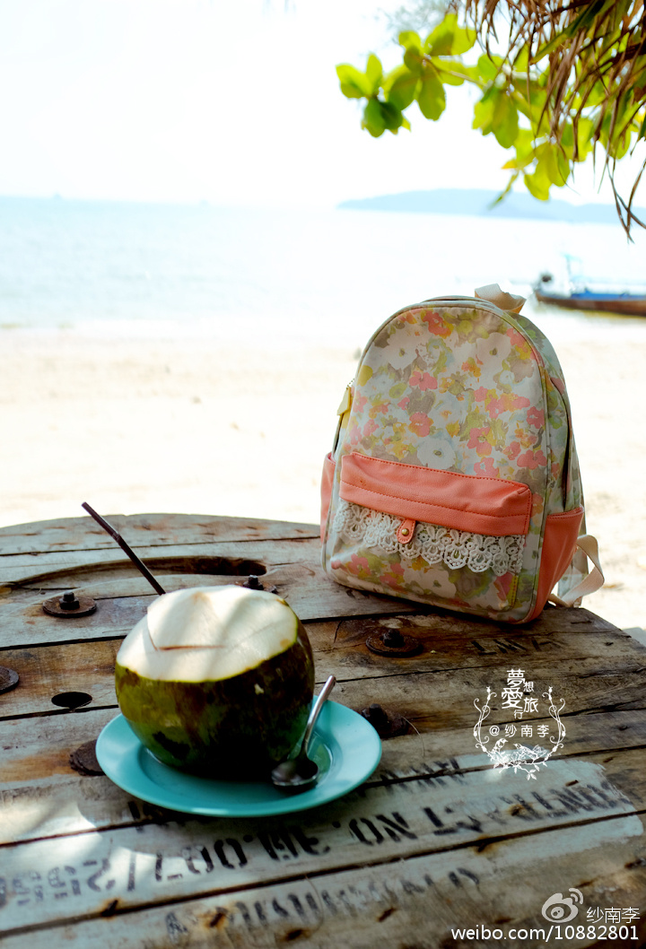 把名牌包包扔掉,杂牌包包扔掉