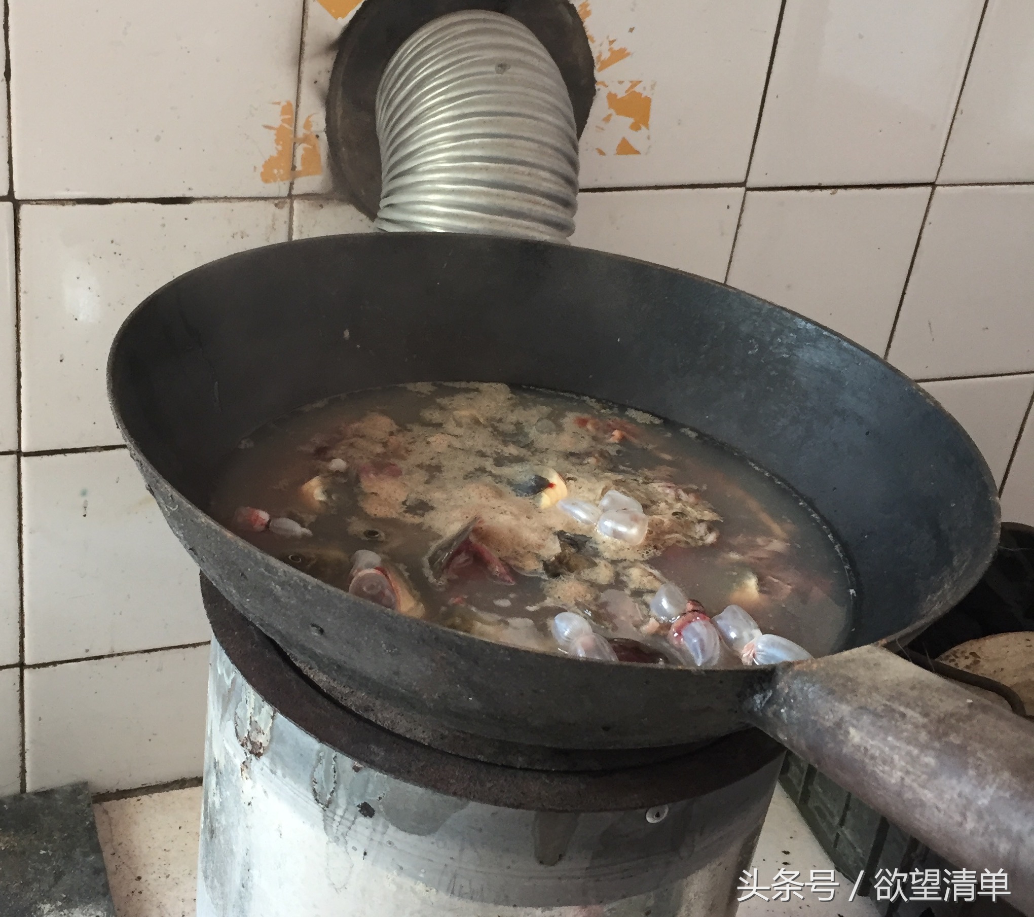 主人给刚出生的小狗喂大鱼吃,狗狗生了一窝小狗给妈妈炖鱼汤