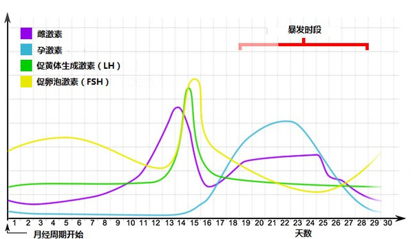 甲减和甲亢哪个容易发胖,甲亢好了身体一发胖接着就是甲减