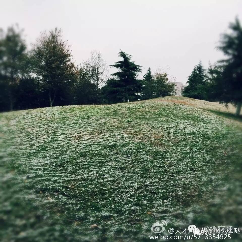 雪中宿迁，素颜都美到窒息！