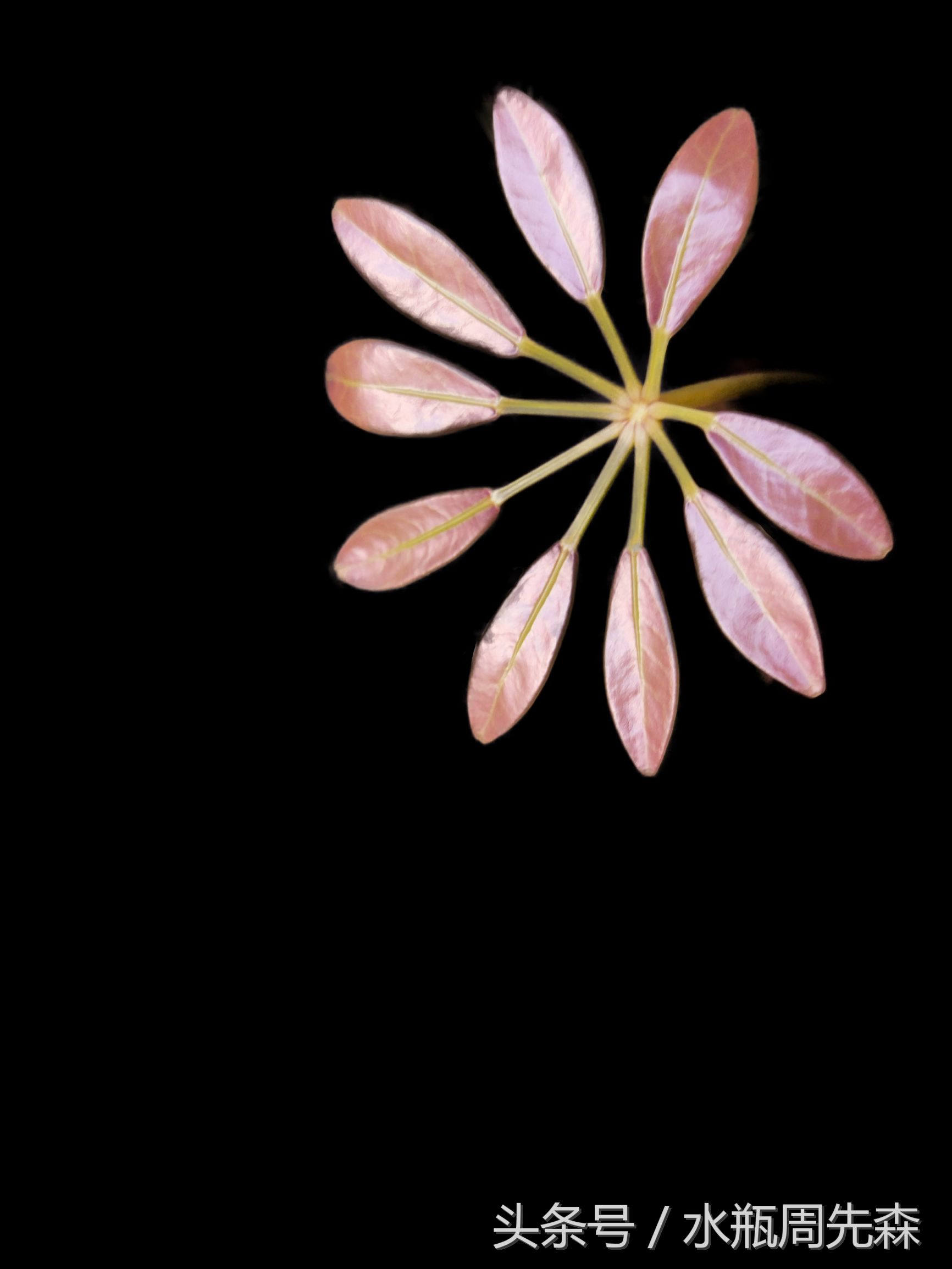 显得高大上的手机锁屏壁纸,高大上最美曲屏手机壁纸