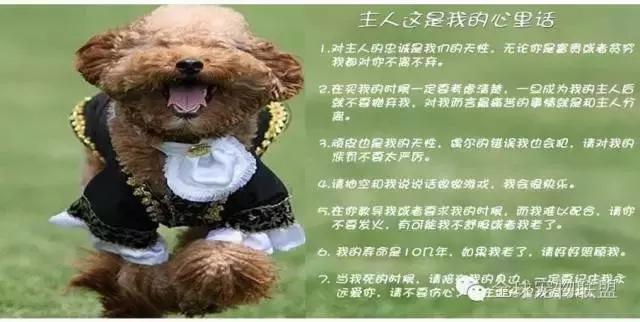 想知道你的狗换算成人的年龄有多大了吗？