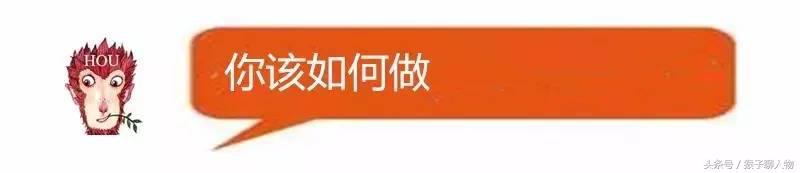 个人推广产品的免费渠道,没有钱怎么推广产品