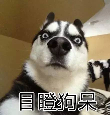 美国uber账号停用,如何取消uber绑定的支付宝