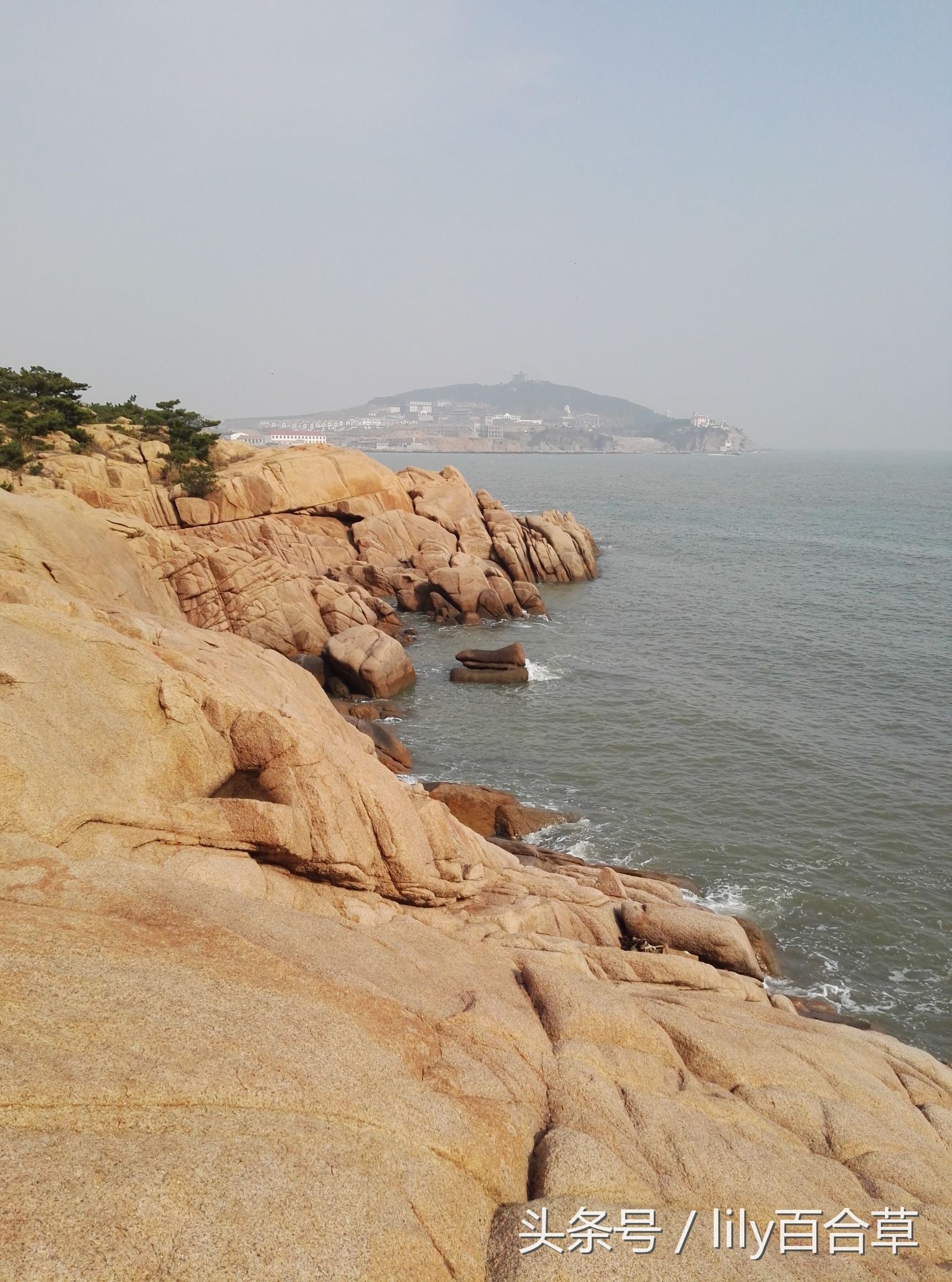 在海边碰到巨型的大海蜇,在海边抓海参然后把它吃掉