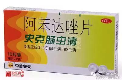 那些你不知道的副业,那些你不知道的观赏鱼