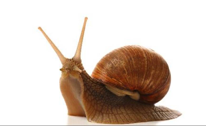 泰国十大值得买的护肤品,在泰国免税最平的护肤品