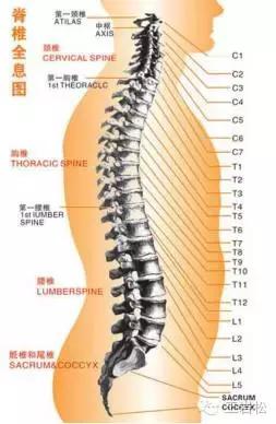 腰椎退行性变引起腰痛怎么治疗,腰椎退行性疾病怎么理疗