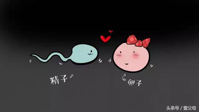 比较害羞的问题怎么回答,难以启齿的问题怎么回答