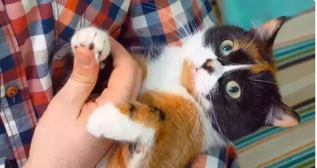 凡士林改善干燥,凡士林缓解肌肤干燥