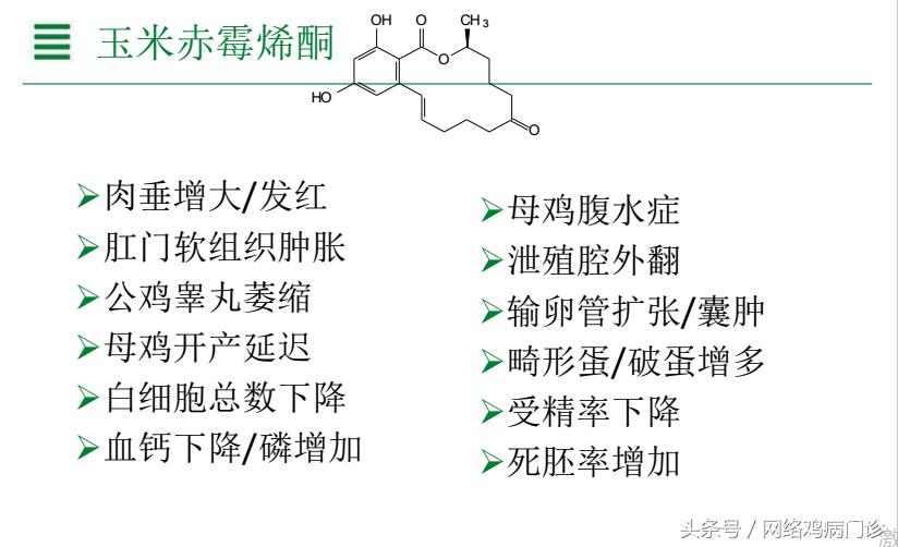 脱霉剂实测,脱霉剂真正脱霉吗