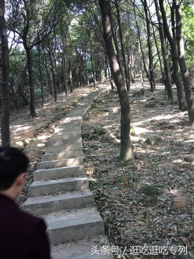 广州火炉山森林公园游玩攻略,广州火炉山徒步完整版