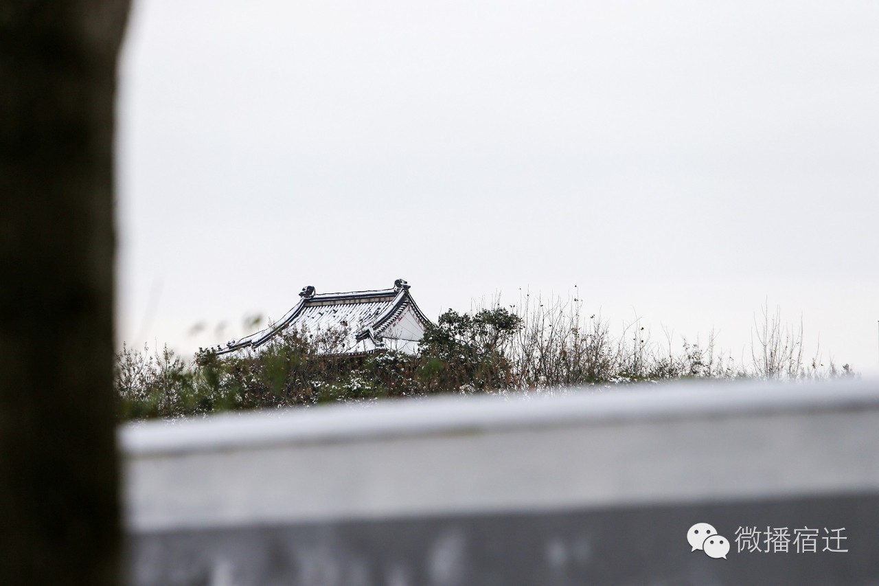 雪中宿迁，素颜都美到窒息！