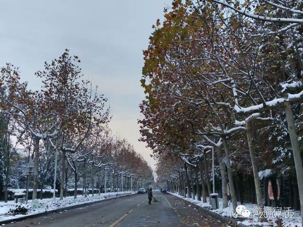 雪中宿迁，素颜都美到窒息！