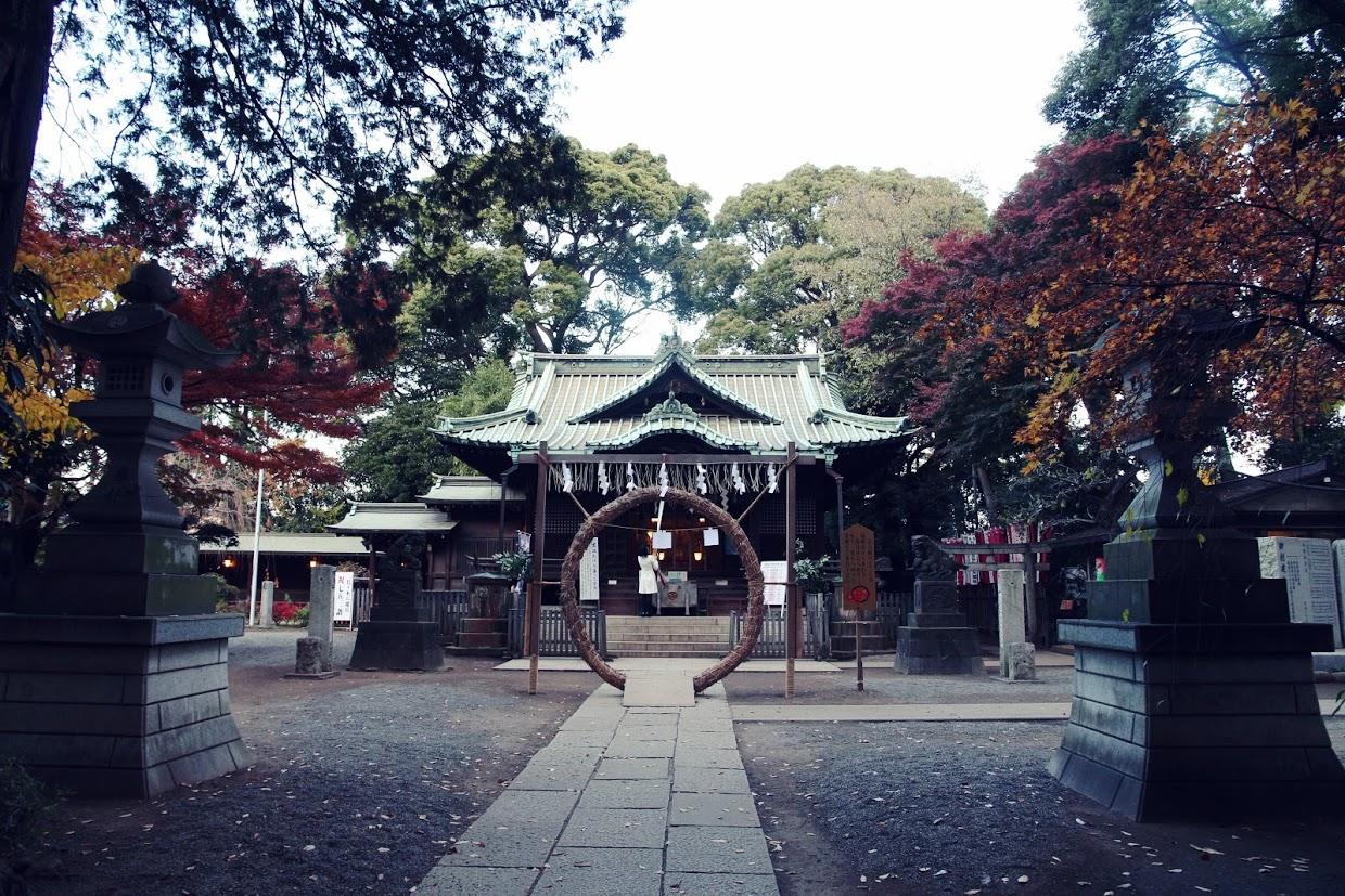 手绘旅行日记四年级图文,手绘研学旅行日记